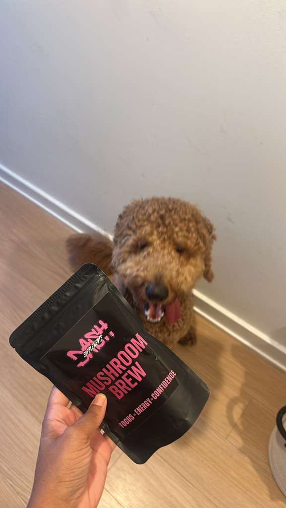 DASH Mushroom Coffee