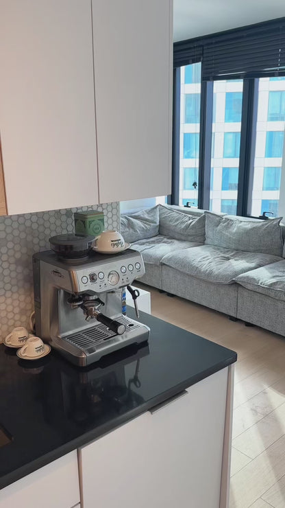 DASH Mushroom Coffee